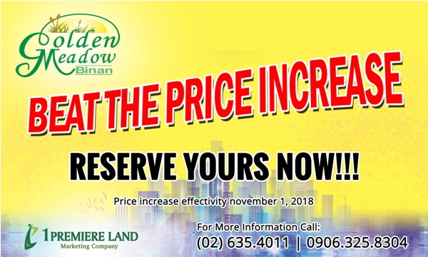 Beat The Price Increase in Golden Meadows Binan